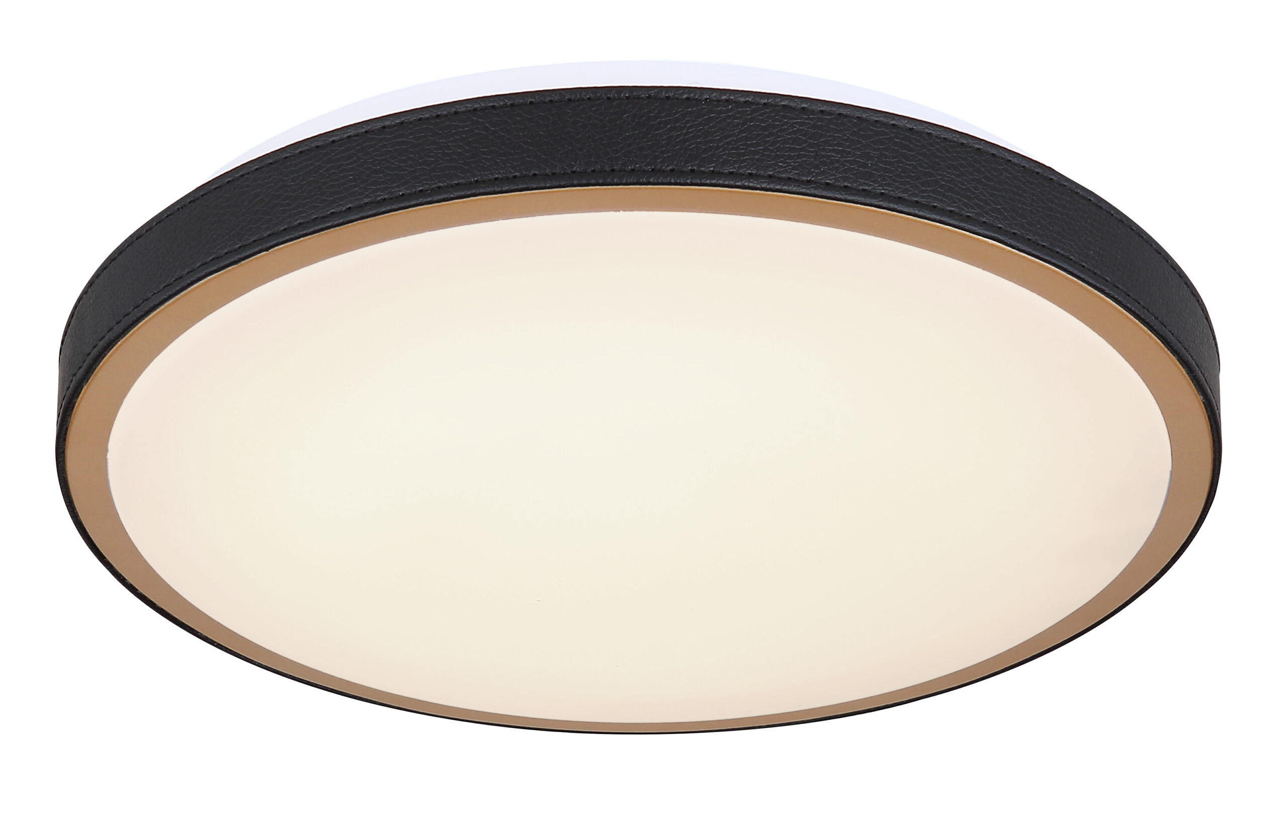 GLOBO LED plafonjera Metall fi30cm 12W GLOBO LED plafonjera Metall fi30cm 12W