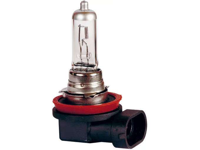 SIJALICA HALOGENA H11 PGJ19-2 12V 55W PN34113   SIJALICA HALOGENA H11 PGJ19-2 12V 55W PN34113