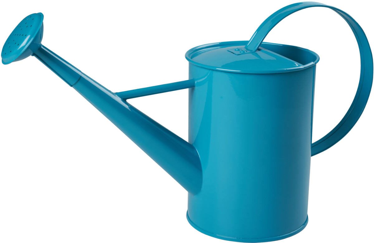 FREUND Dječija metalna kanta za zalivanje 1570524 FREUND Dječija metalna kanta za zalivanje 1570524