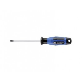 SKG ODVIJAČ - TORX SA RUPOMT 25 4,5X100MM