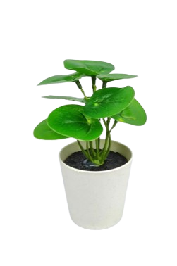 EVA DEKOR CVIJEĆE DEKORACIJA EVA5678 EVA DEKOR CVIJEĆE DEKORACIJA EVA5678