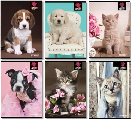 STREET SVESKA MEKA A5/54 KARO FRIENDS  STREET SVESKA MEKA A5/54 KARO FRIENDS