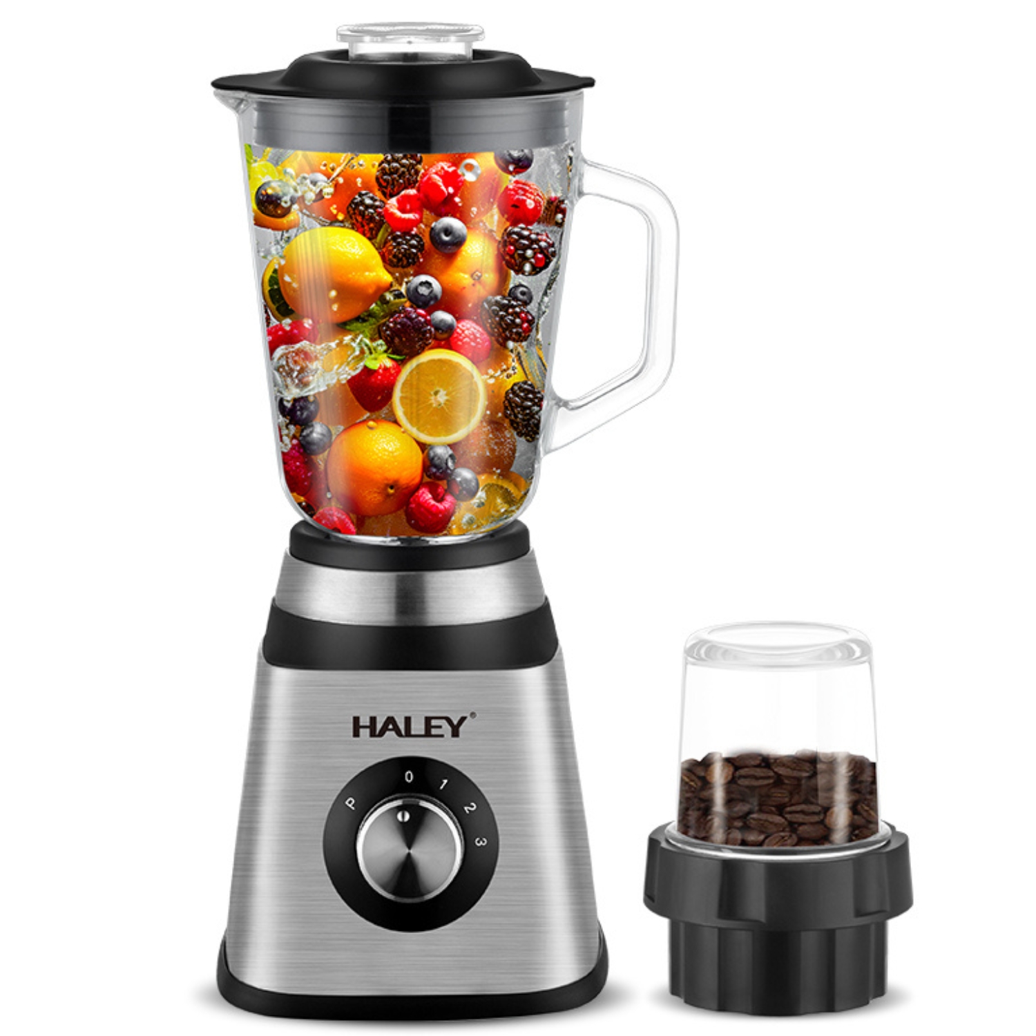 HALEY Blender HY-2944